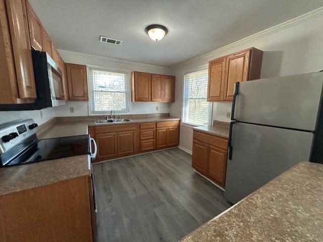 kitchen featuring dark hardwood / wood-style flooring, sink, plenty of natural light, and stainless steel appliances