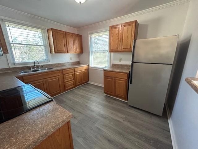 kitchen with sink, dark wood-type flooring, stainless steel fridge, and a healthy amount of sunlight