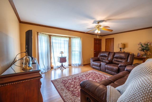 living room featuring ornamental molding, ceiling fan, and light wood-type flooring