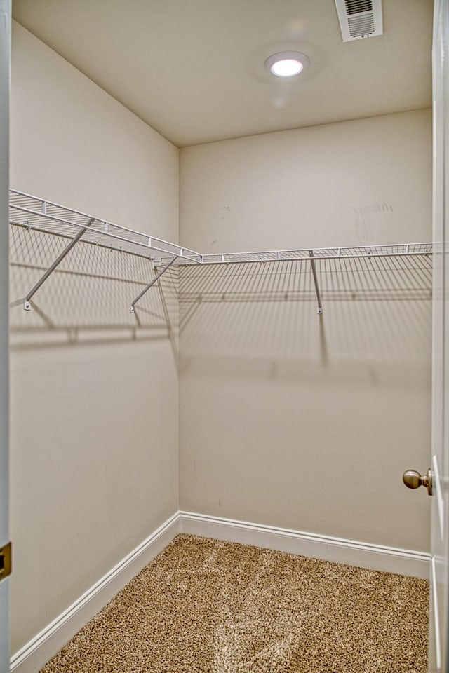 walk in closet with carpet floors