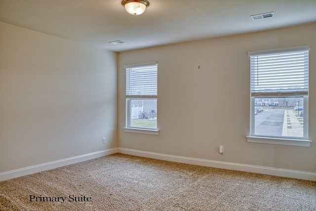 spare room featuring carpet floors and a wealth of natural light