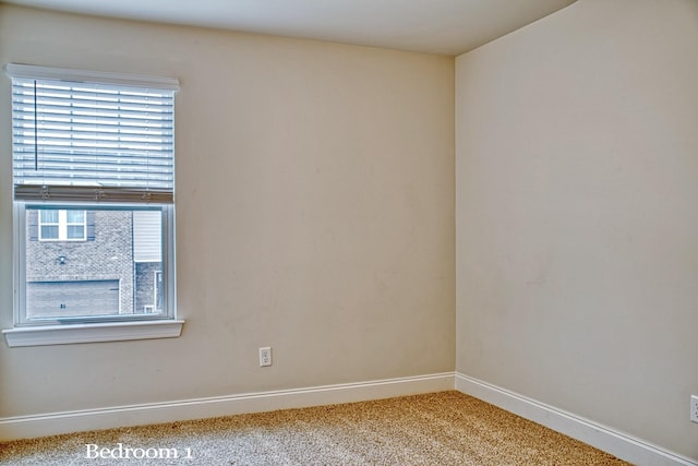 empty room featuring carpet floors