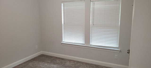 interior space featuring carpet flooring