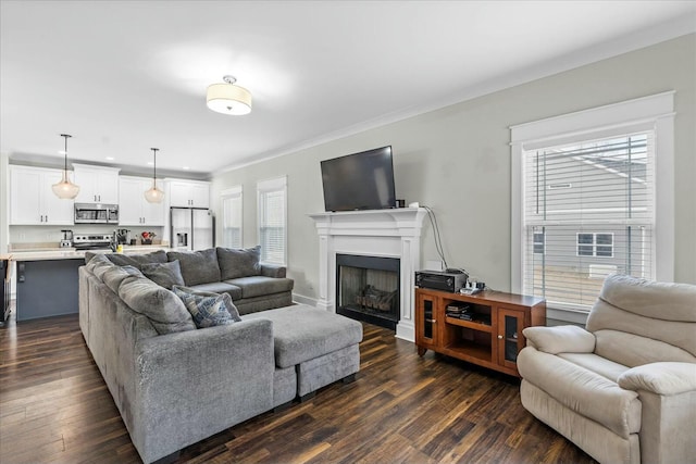 living room featuring dark hardwood / wood-style flooring