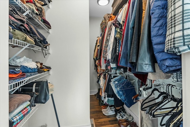 walk in closet featuring dark hardwood / wood-style floors