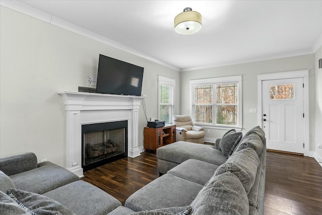 living room with crown molding and dark wood-type flooring