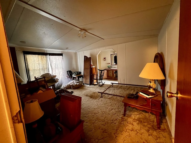 miscellaneous room featuring lofted ceiling and carpet floors