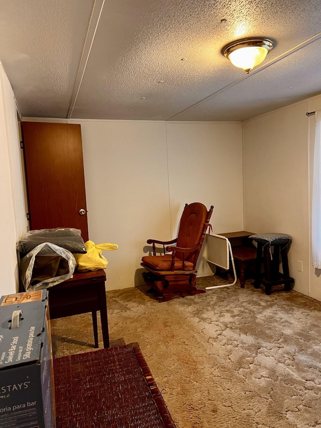 living area with a textured ceiling and carpet