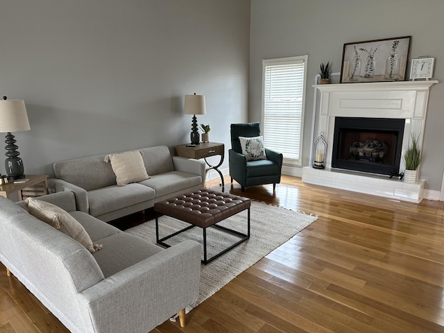 living room featuring hardwood / wood-style flooring