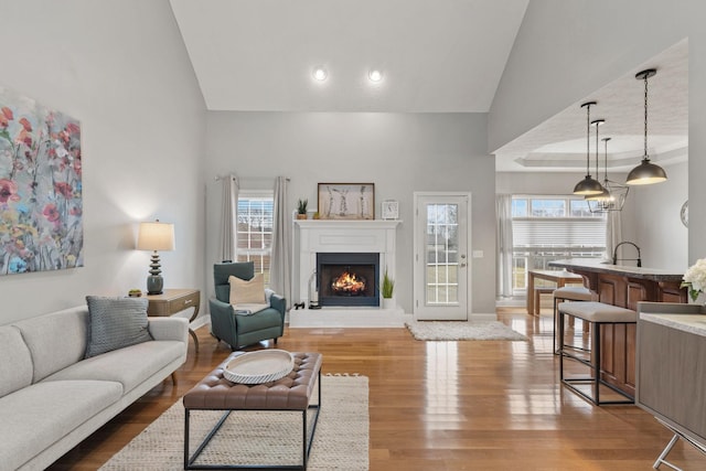 living room featuring a healthy amount of sunlight, wood-type flooring, and high vaulted ceiling