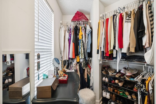 view of walk in closet