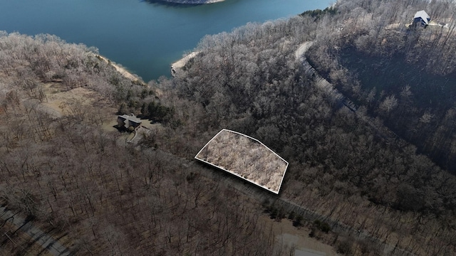 87 Blackberry Ridge Way, Smithville TN, 37166 land for sale