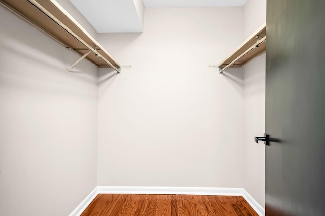 spacious closet featuring wood-type flooring