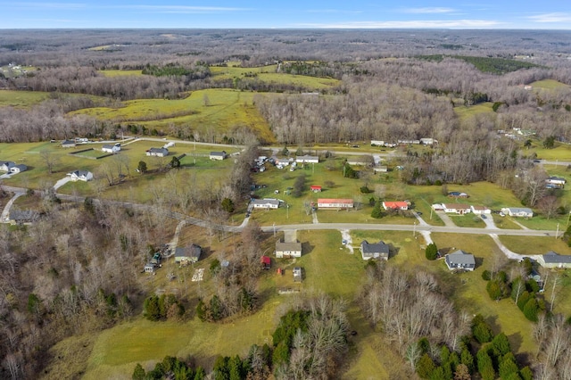 bird's eye view with a forest view