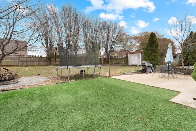 view of yard with a storage unit, a patio area, and a trampoline