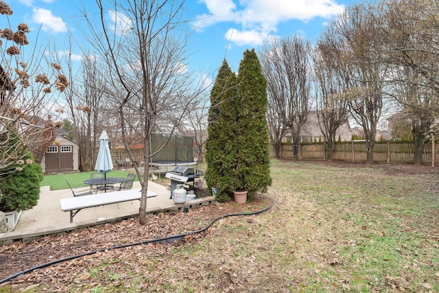 view of yard with a patio and a trampoline