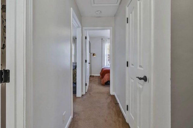 hallway with light colored carpet