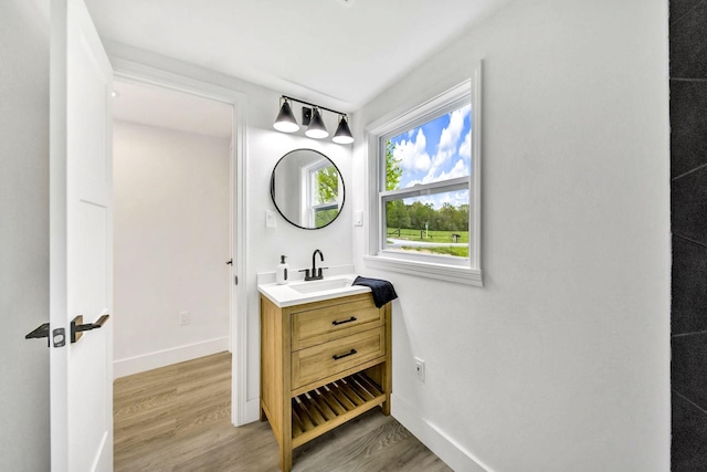 bathroom with vanity and wood-type flooring