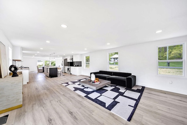 living room featuring a healthy amount of sunlight and light hardwood / wood-style floors