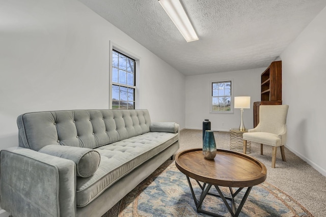 carpeted living room with a textured ceiling