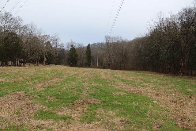 Listing photo 3 for 0 Masters Ln, Hartsville TN 37074