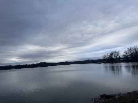 10 Spring Cir, Beechgrove, TN 37018