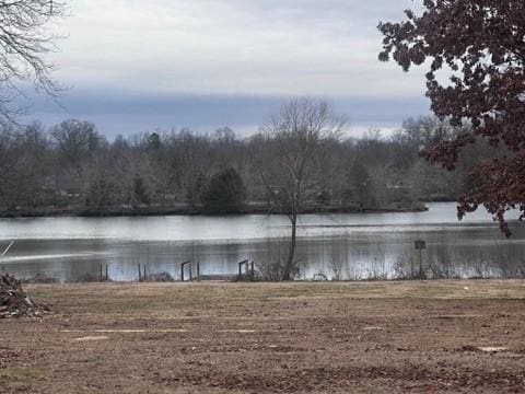 10 Spring Cir, Beechgrove, TN 37018