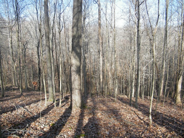 Listing photo 3 for 0 Spring Hollow Rd, Lafayette TN 37083