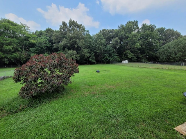 view of yard with an outdoor structure, a storage unit, and fence