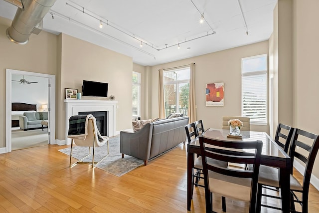 dining room with light hardwood / wood-style floors