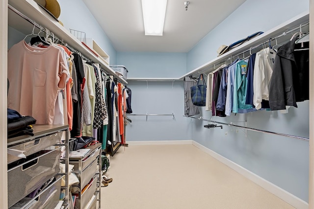 spacious closet with carpet