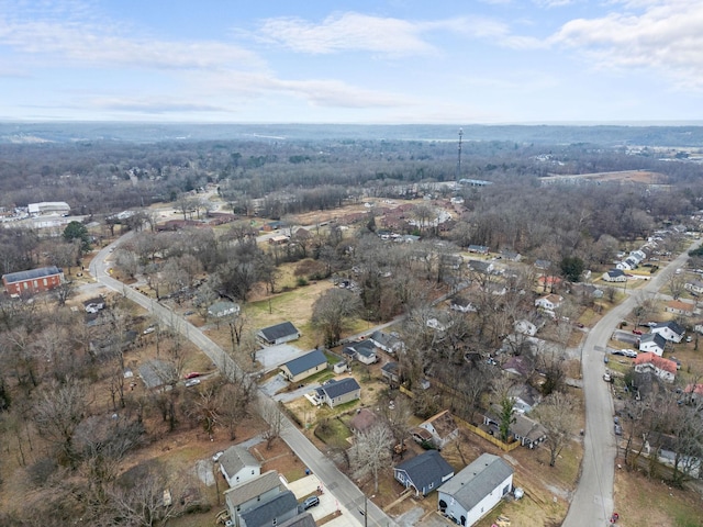 bird's eye view