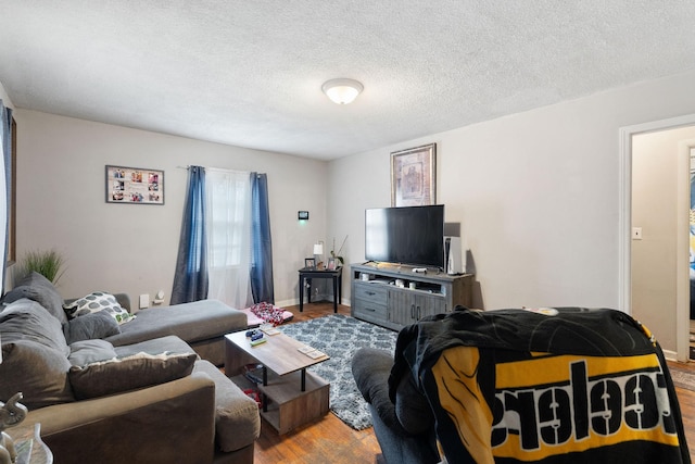 living room featuring hardwood / wood-style floors and a textured ceiling