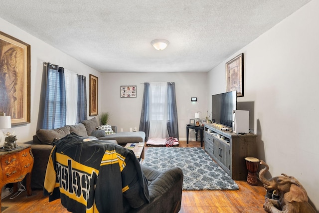 living room with hardwood / wood-style flooring and a textured ceiling