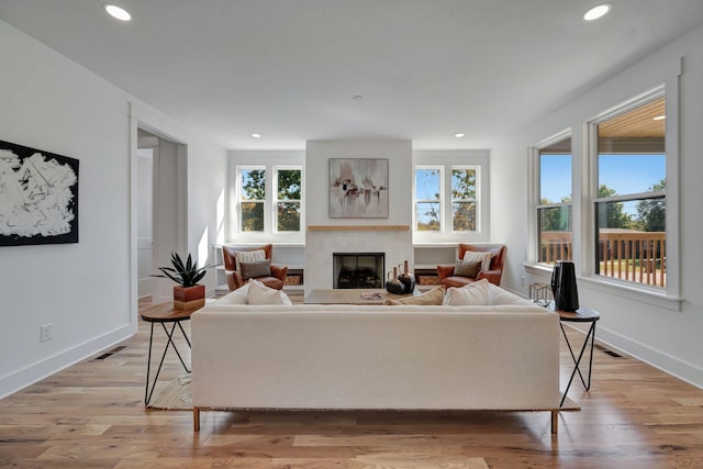 living room with plenty of natural light and light hardwood / wood-style flooring