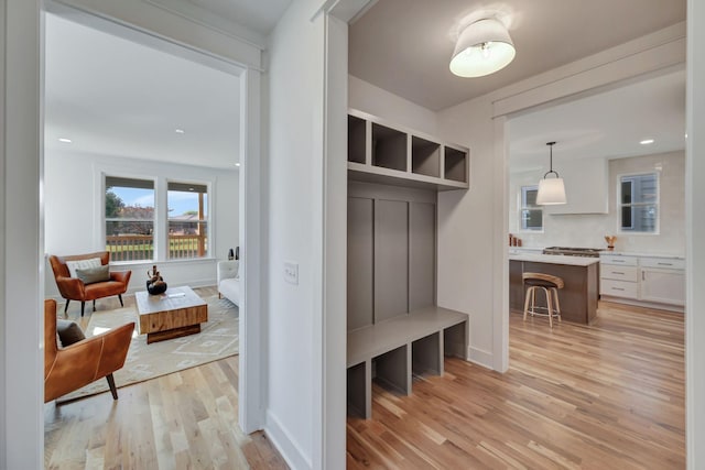 mudroom with light wood-type flooring