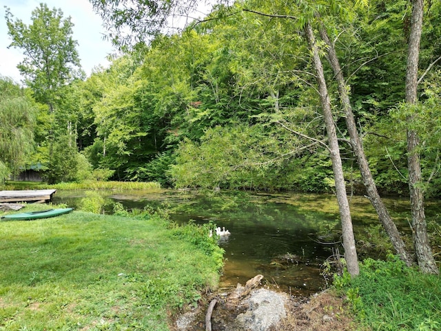 view of yard with a water view