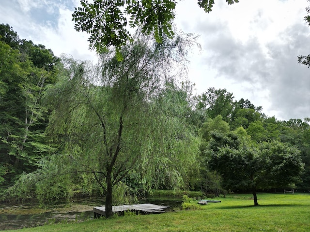 view of home's community featuring a lawn