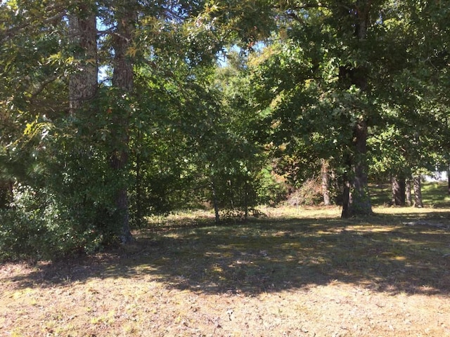 Listing photo 3 for 0 Meadowlands Ln, Henderson TN 38340