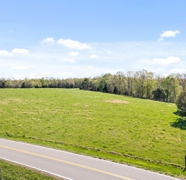 5495 Louise Rd, Cumberland Furnace, TN 37051 - view of yard featuring a rural view