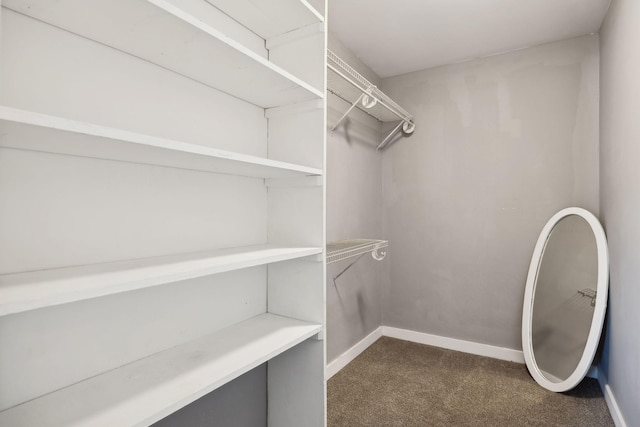 walk in closet featuring dark colored carpet