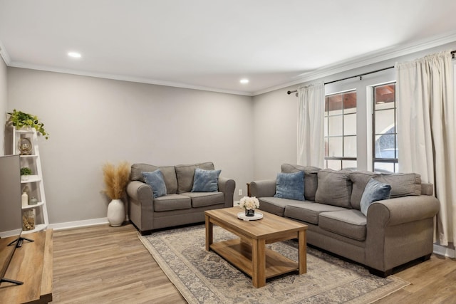 living room featuring crown molding and light hardwood / wood-style flooring