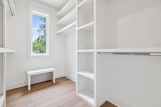 spacious closet featuring light hardwood / wood-style floors