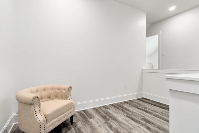 living area featuring dark wood-type flooring