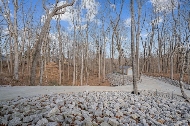 view of yard with a garage and an outdoor structure