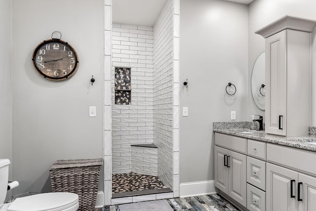 bathroom with vanity, a tile shower, and toilet