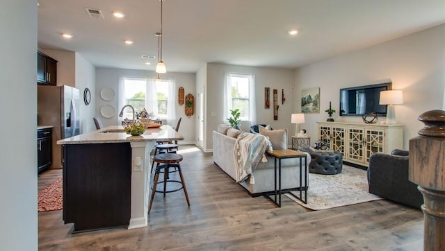 living room featuring sink and dark wood-type flooring