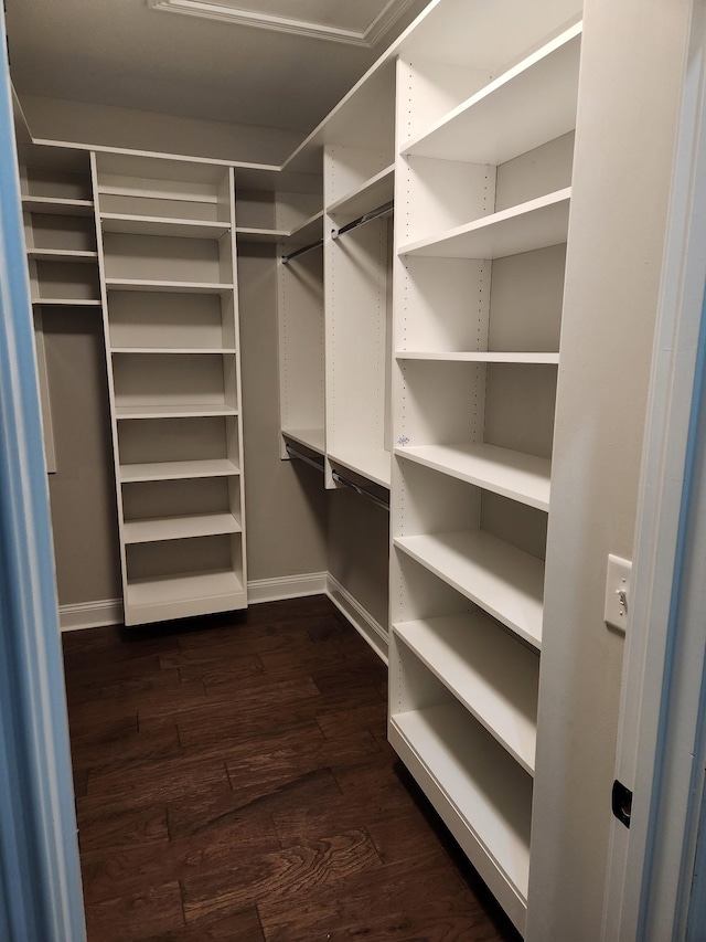 walk in closet with dark hardwood / wood-style floors