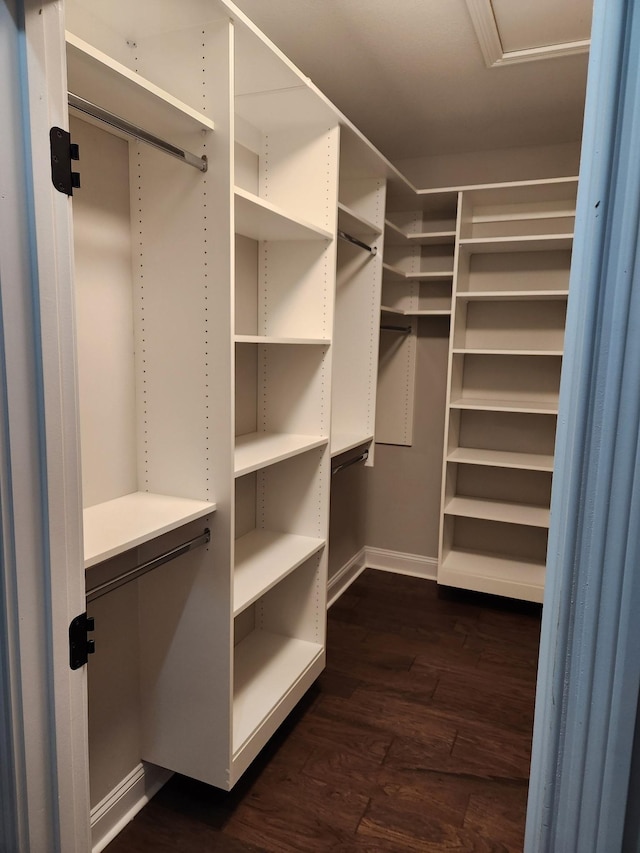 spacious closet featuring dark hardwood / wood-style floors