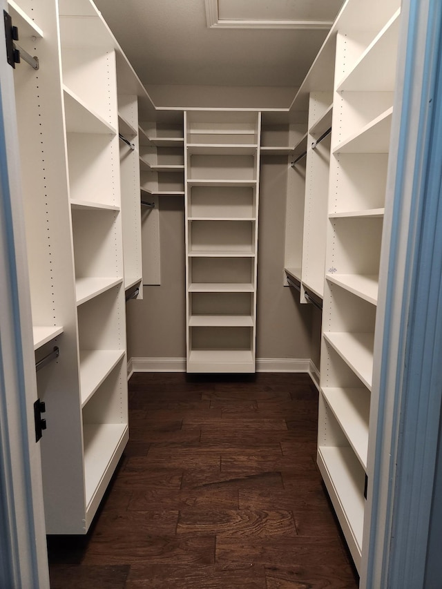 walk in closet with dark hardwood / wood-style flooring